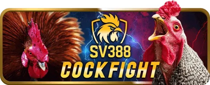 Đá gà Campuchia online